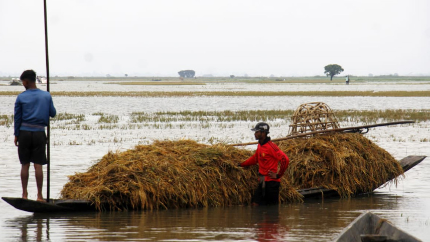 habiganj-haor