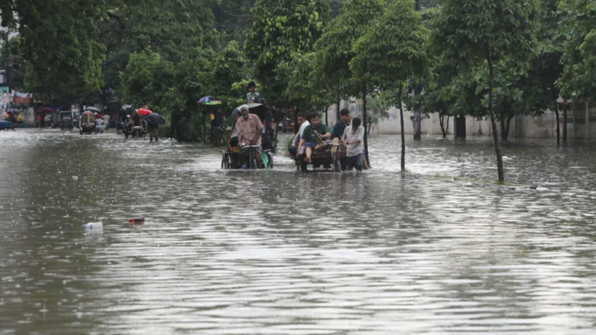 ফাইল ছবি: প্রবীর দাশ/স্টার