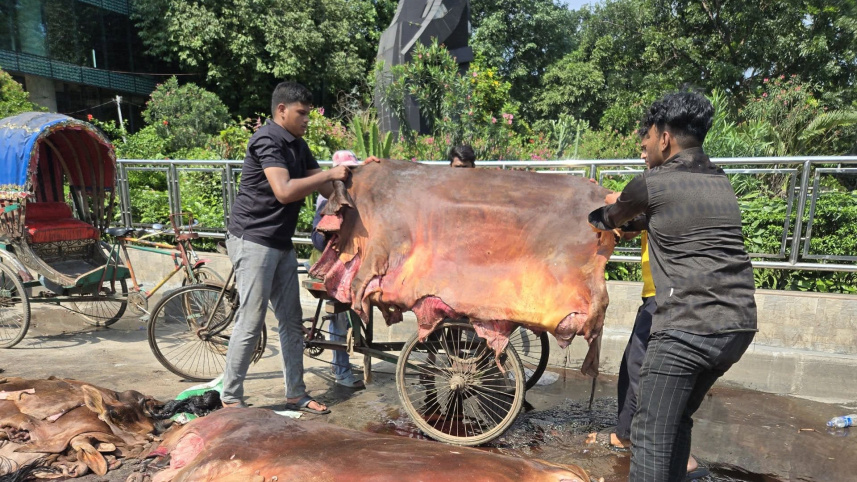 কোরবানির পশুর চামড়া সংগ্রহ করা হচ্ছে। ছবি: স্টার