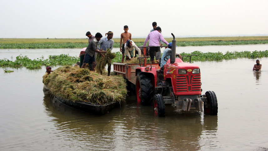 মেদীর হাওর