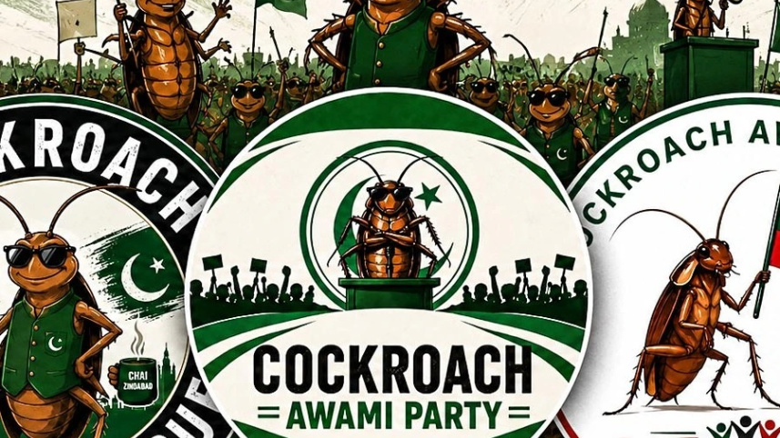 Cockroach