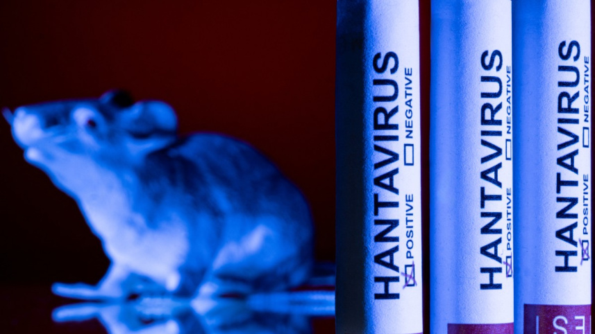 Hantavirus