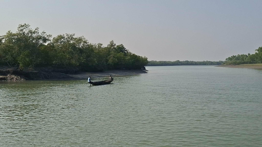 Sundarbans