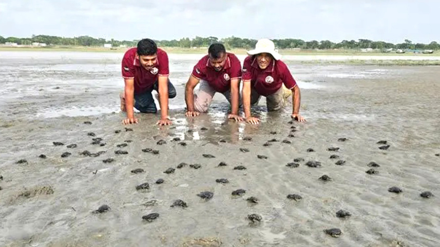 Patuakhali