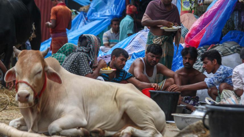 ছবি: স্টার।