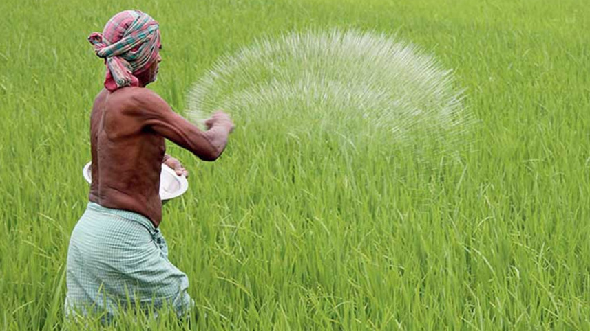 বাংলাদেশের ৯৫ শতাংশ কৃষক অসম মাত্রায় সার ব্যবহার করেন: বিশ্বব্যাংক
