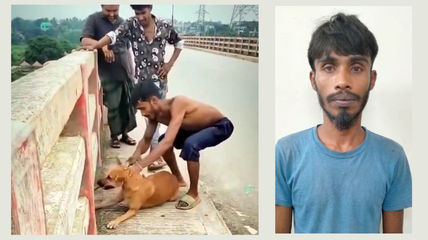 নরসিংদীতে কুকুরের গলায় ইট বেঁধে নদীতে ফেলা যুবক আটক