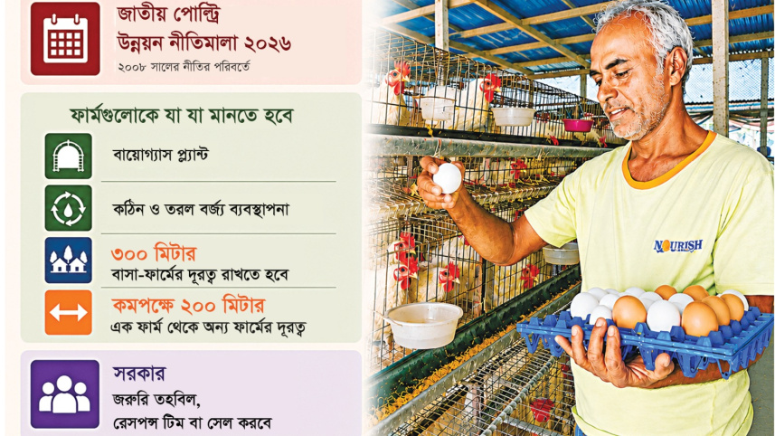 মুরগির ফার্ম