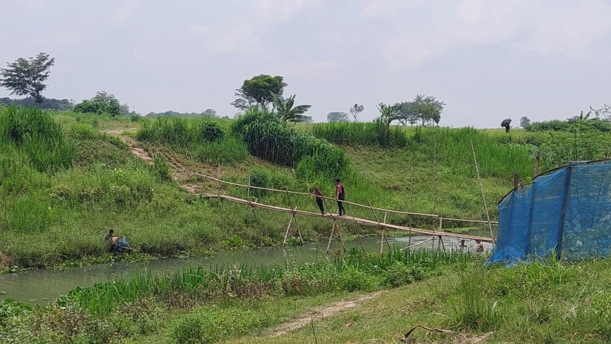 কুষ্টিয়া সীমান্ত