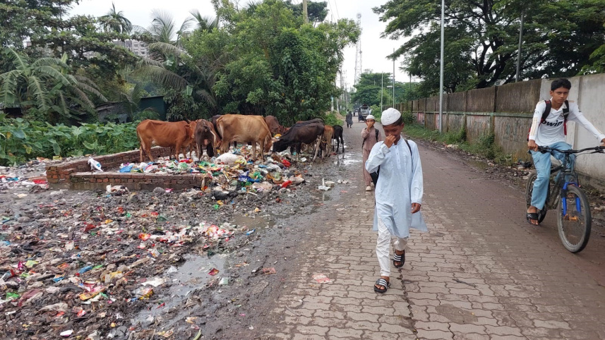 ছবি: স্টার।