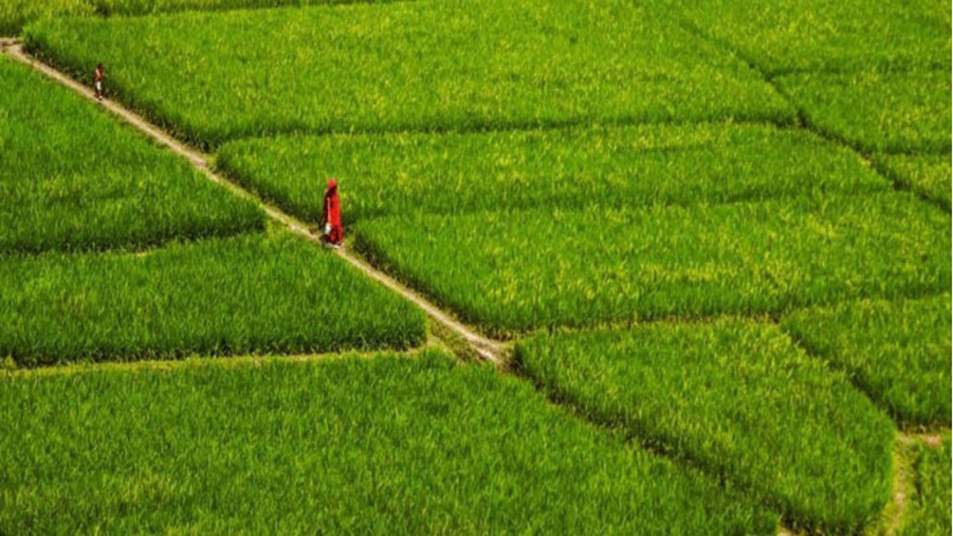 Land