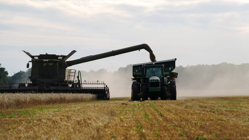 US Wheat