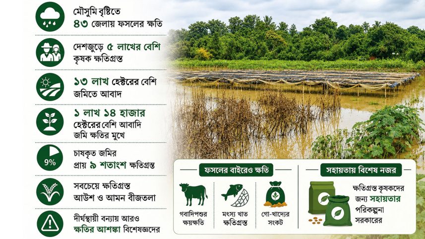 crops damage