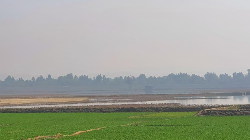 স্টার ফাইল ছবি।