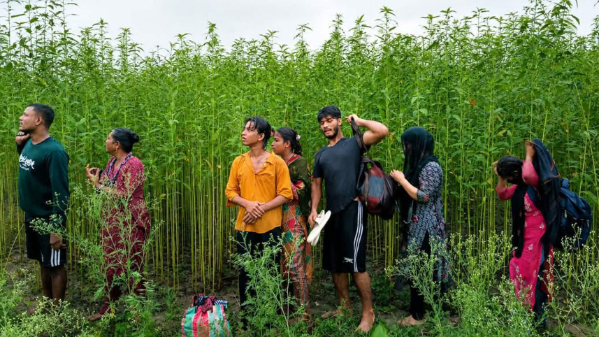 কুষ্টিয়ায় পুশ ইন চেষ্টা