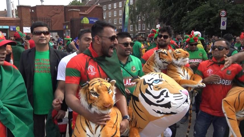 Tiger Fan