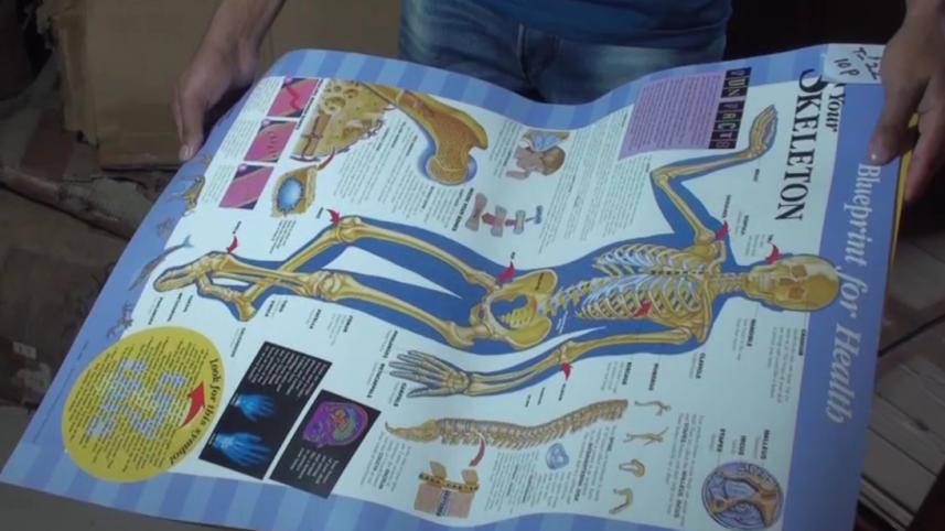 Anatomical-Chart.jpg