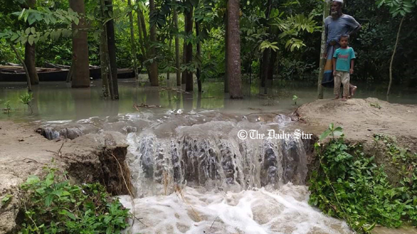 barguna 1.jpg