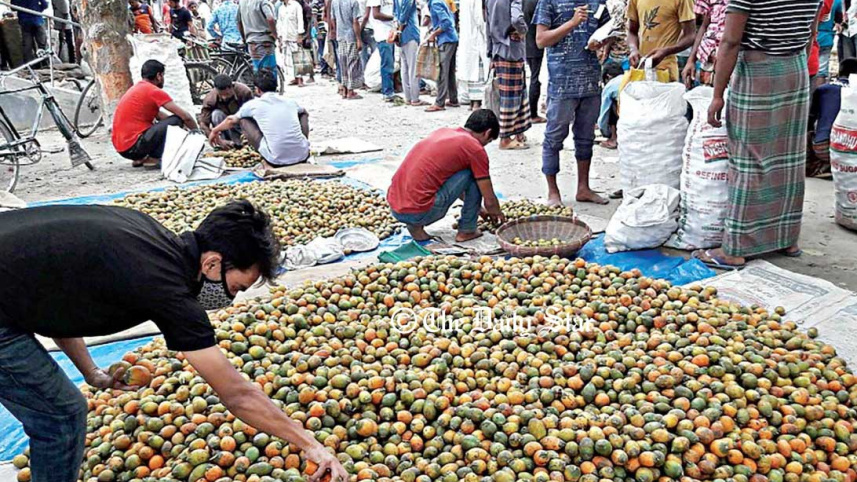 betel-nut_0.jpg