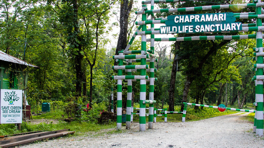 Chapramari