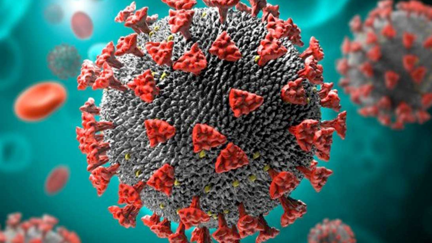 Coronavirus-Logo.jpg