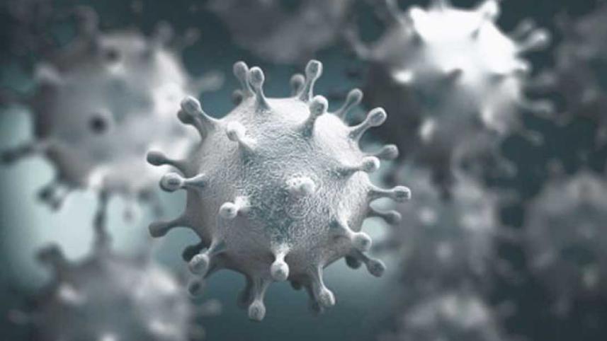 coronavirus.jpg