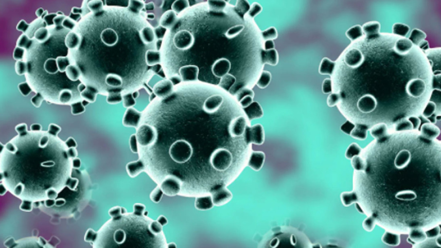 Coronavirus.jpg