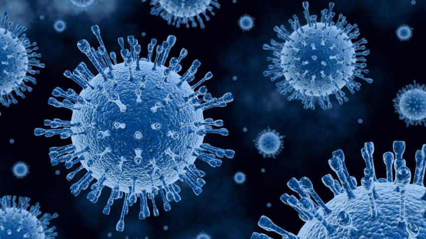 Coronavirus_Collected.jpg