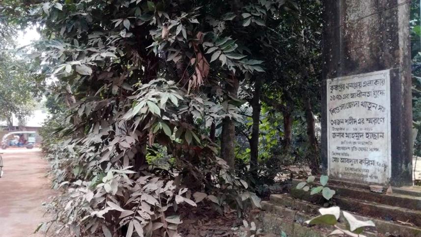 Cumilla massgrave