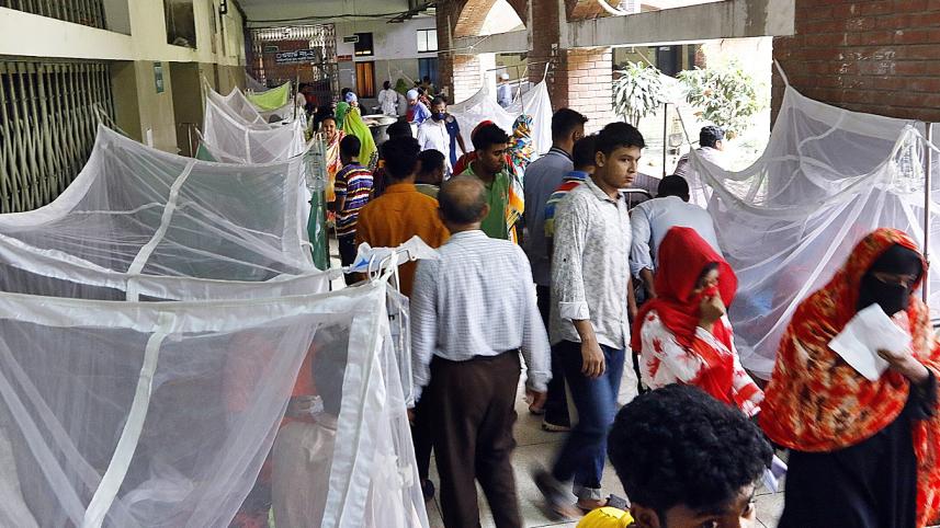 dengue (2).jpg