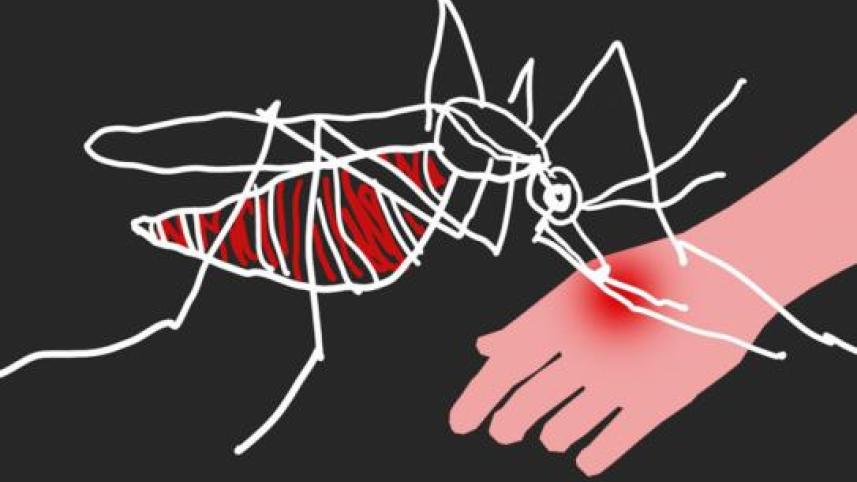 dengue  