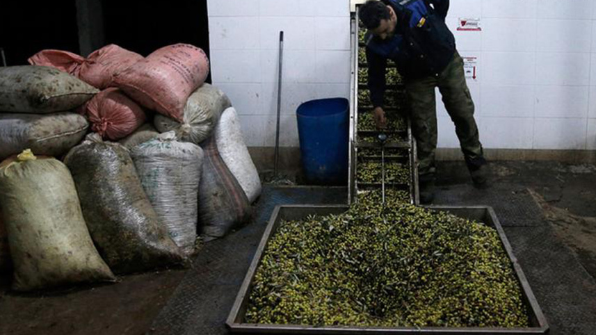 Greece_Agriculture.jpg