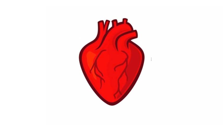 heart