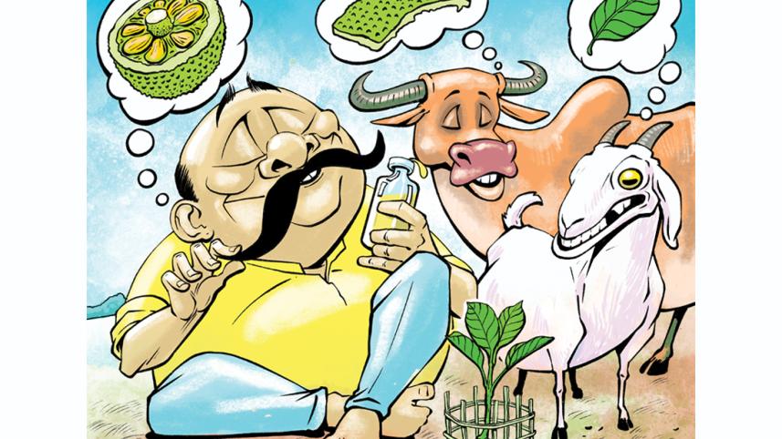 Jackfruit cartoon