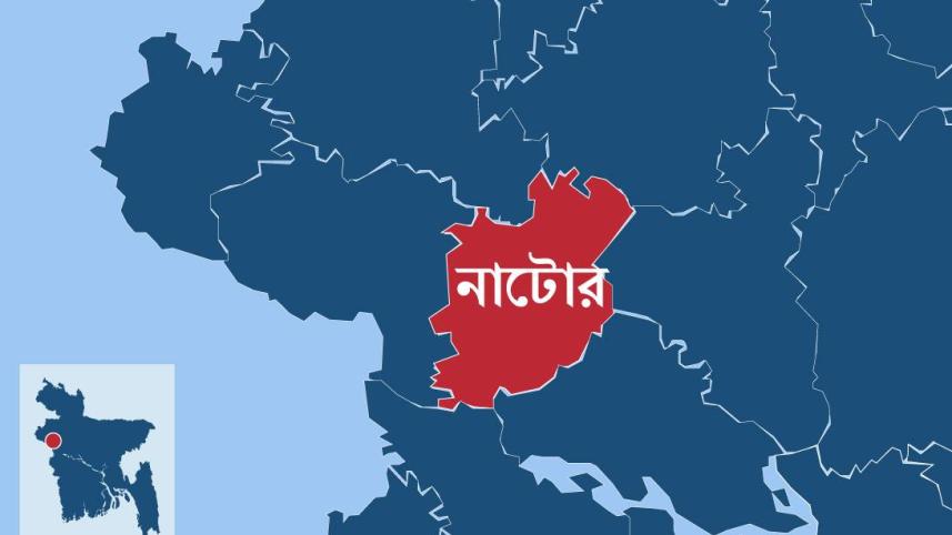 নাটোর