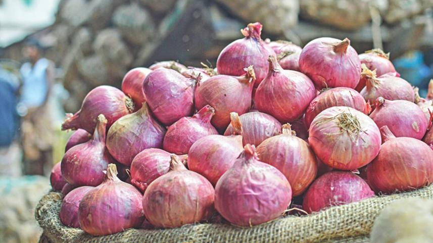 onion_18_0.jpg