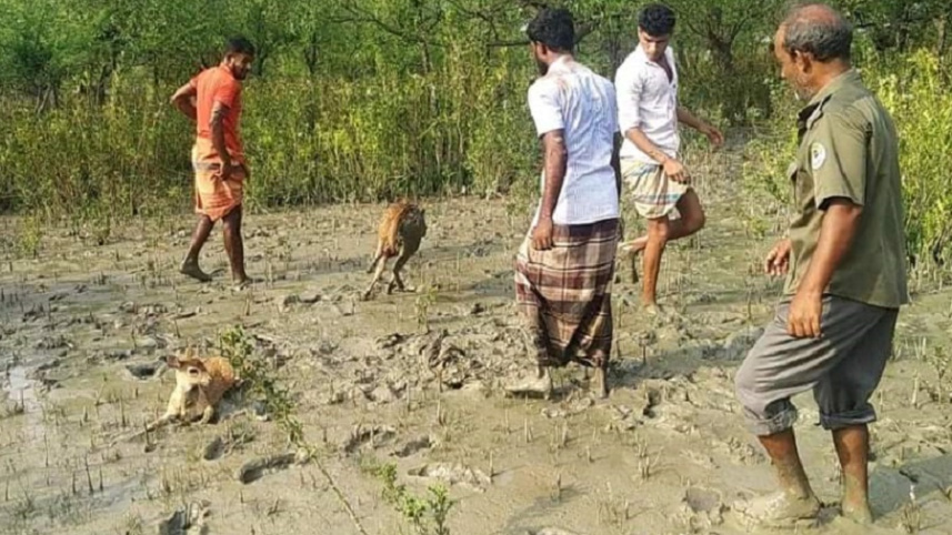 received_303776864717639.jpeg