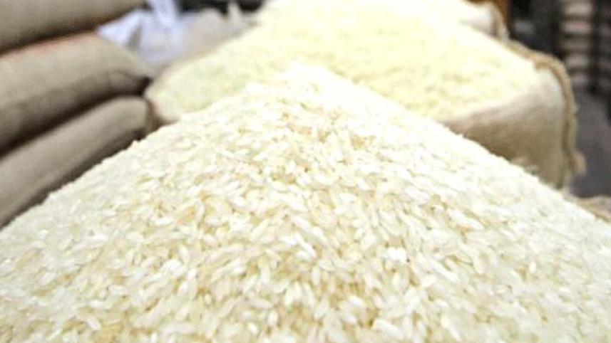 Rice-1.jpg
