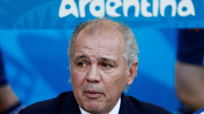 sabella