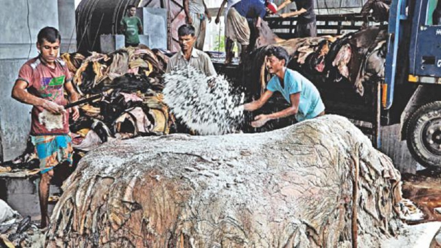tannery_4.jpg