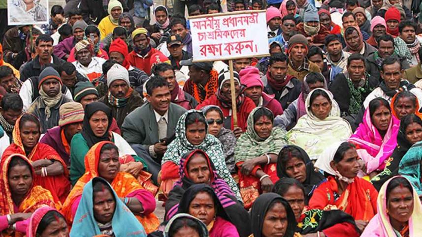 tea-workers-out-labour-law.jpg