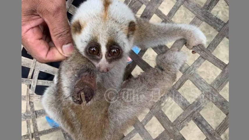 baanr.jpg