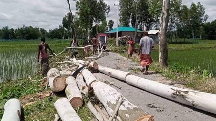 lalmonirhat_roadside_trees.jpg
