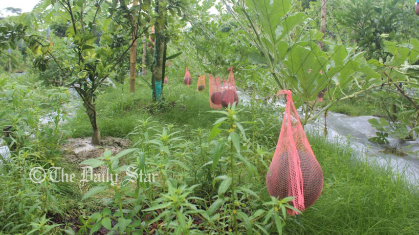 patuakhali1.jpg