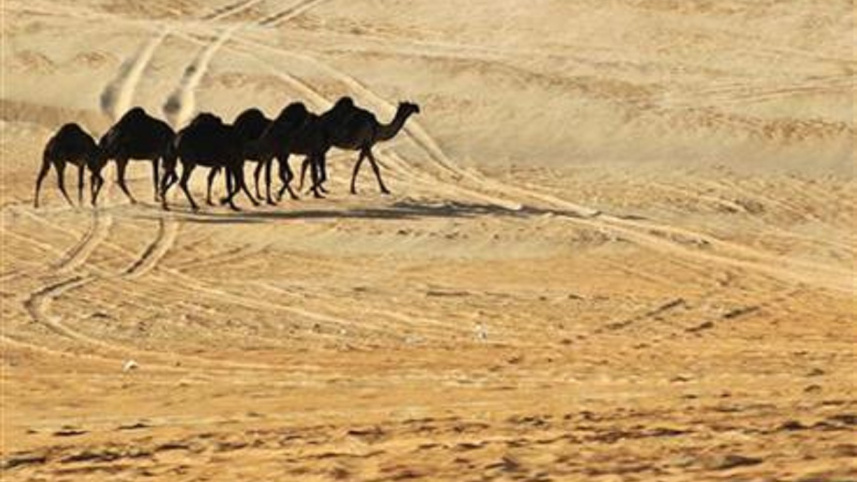 middle_east_reuters.jpg