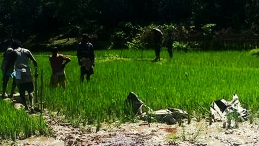 elephant_killing3_31aug21.jpg