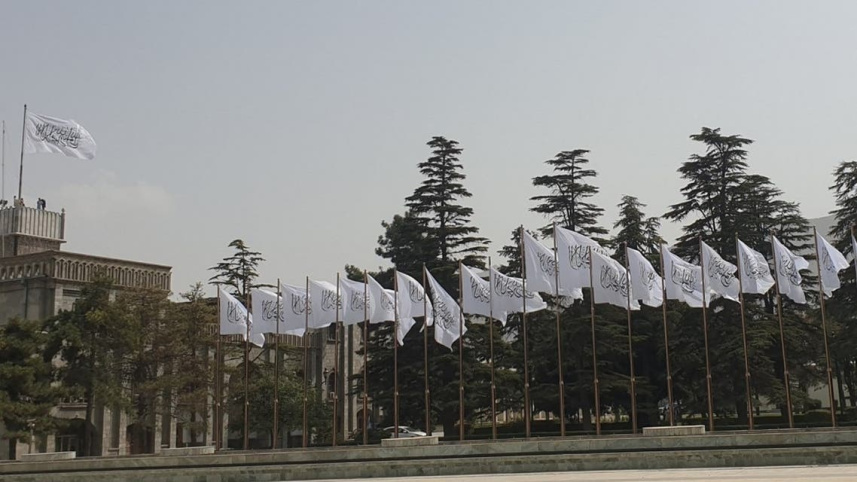 e0b35b27-3593-496f-9ed2-5811859570de_16x9_1200x676.jpg