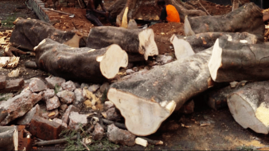 log.gif