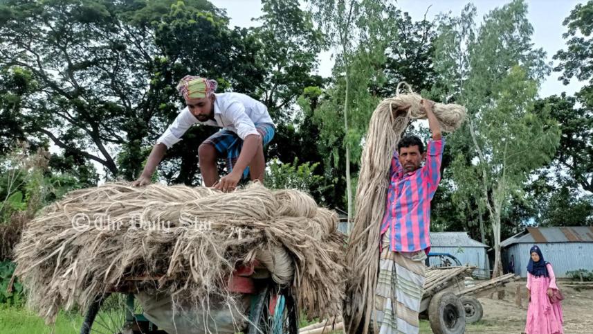 jute3.jpg