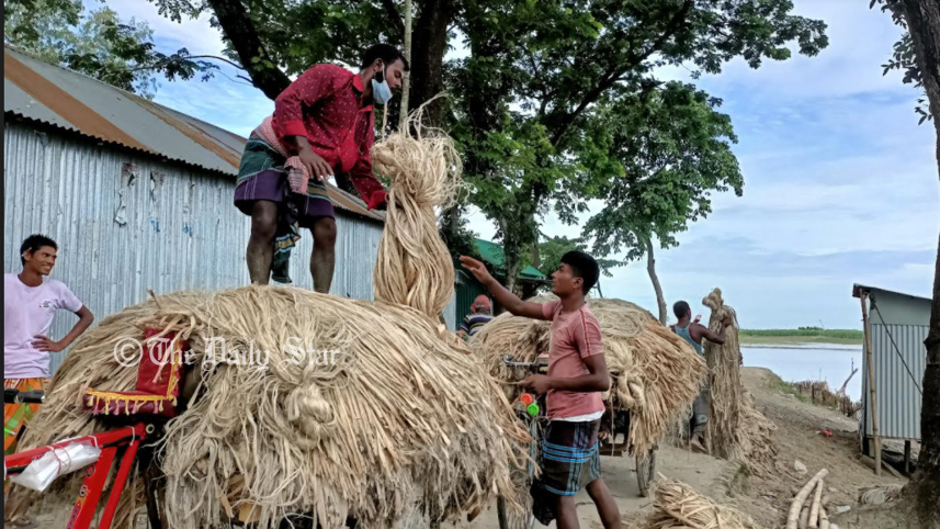 jute4.jpg